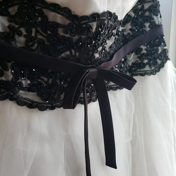 Gorgeous Tea-length Strapless Gown w/ Custom Matching Black Lacey Bolero Jacket - Picture 8 of 8